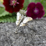 Schmetterling Ring